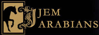 JEM Arabians